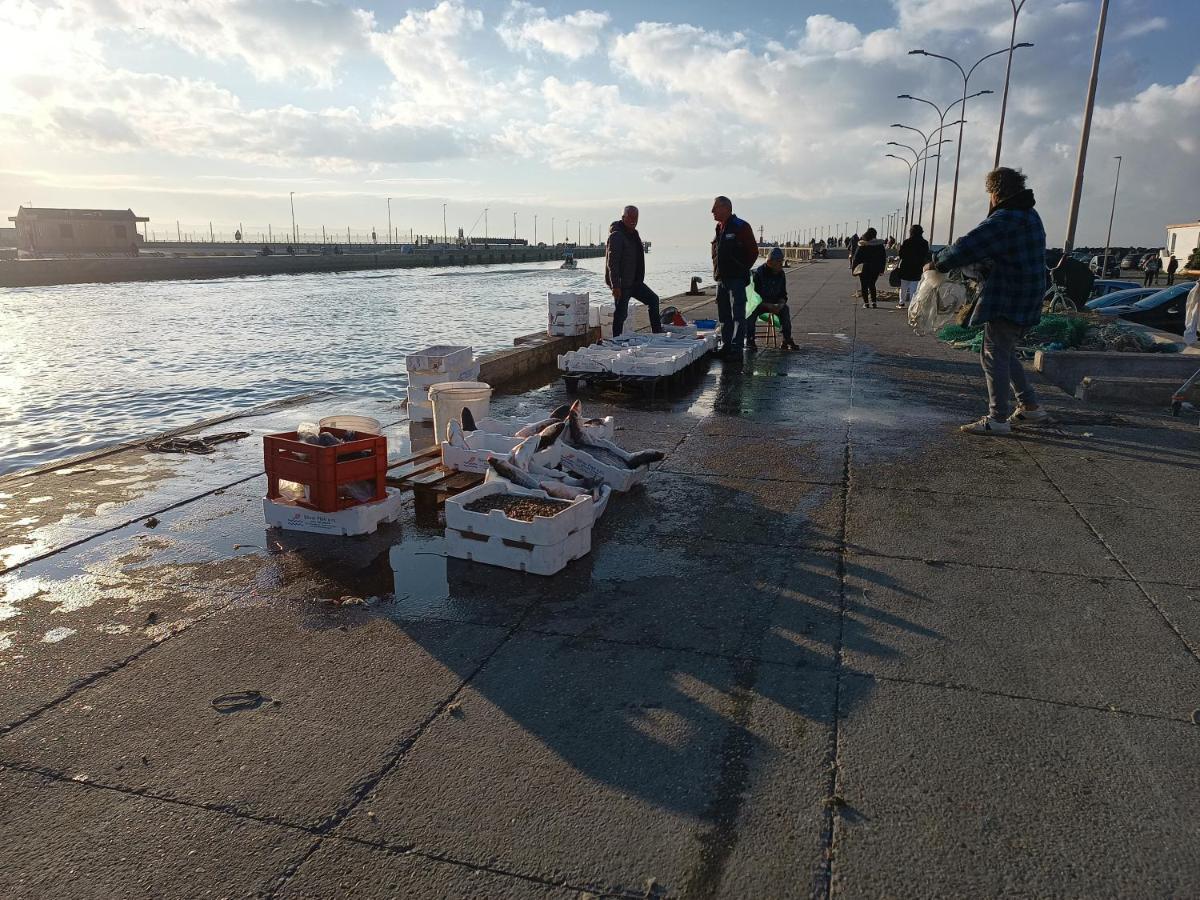 Summer&Winter Home By The Sea Fiumicino Extérieur photo