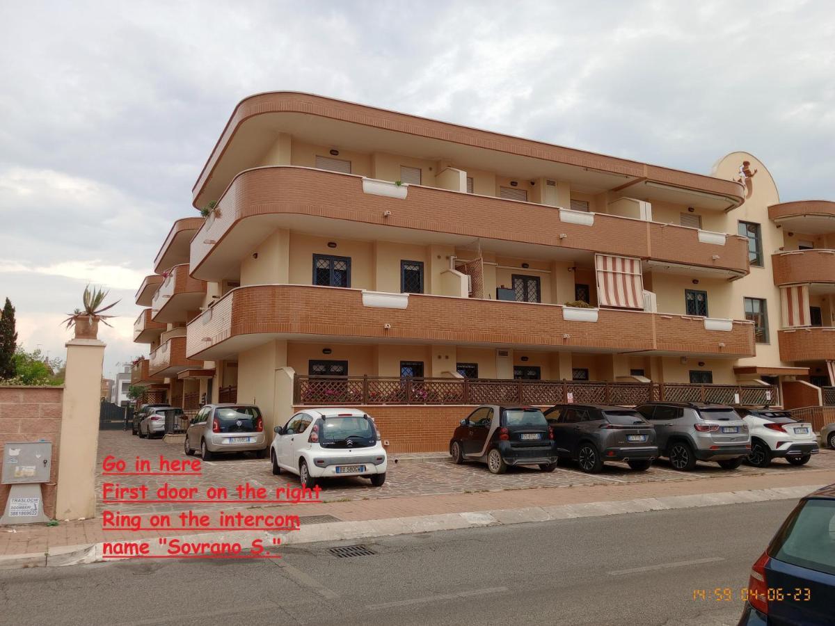 Summer&Winter Home By The Sea Fiumicino Extérieur photo